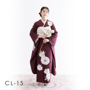 成人：上品で艶やかな雰囲気のシンプルな振袖