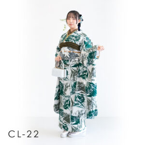 成人：大胆で個性的なモダン柄の振袖