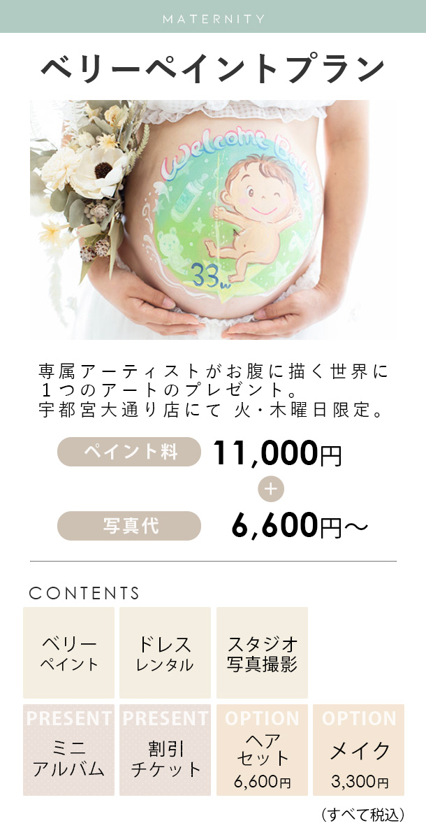 ベリーペイントプラン料金