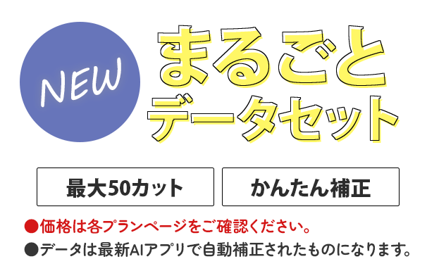 まるごとデータセットの詳細